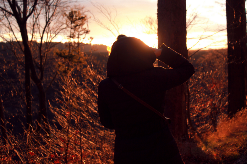 Flickr, Merve illeux