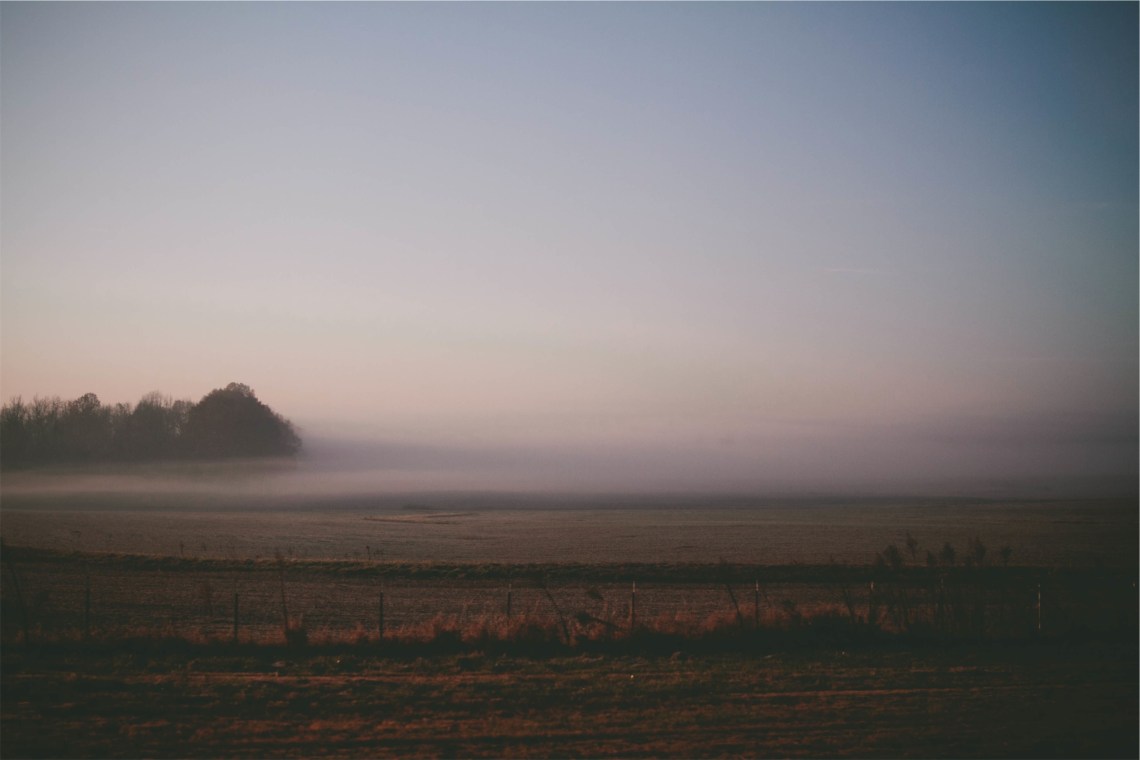Unsplash / Sonja Langford