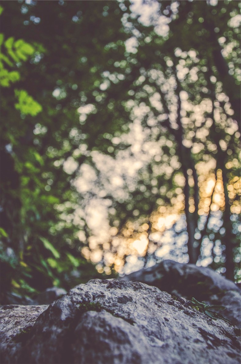 Unsplash / Ales Krivec