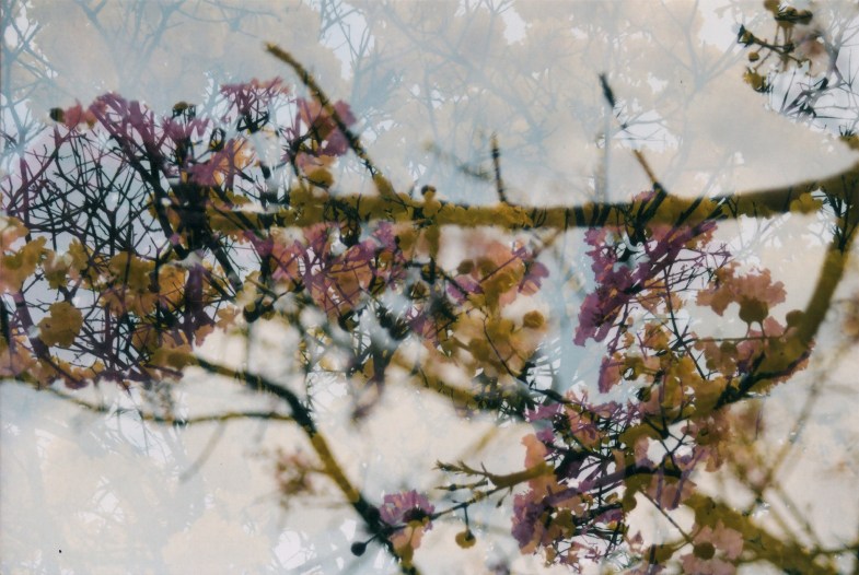Flickr/Clara Araujo