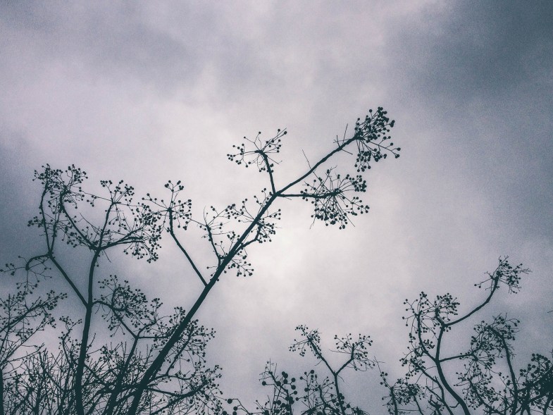Flickr/ Franca Gimenez