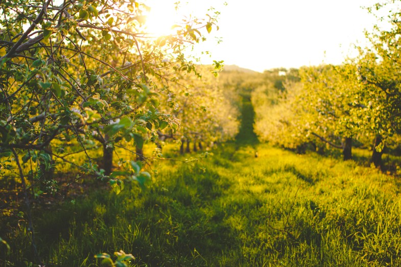 Flickr / Lulu Lovering