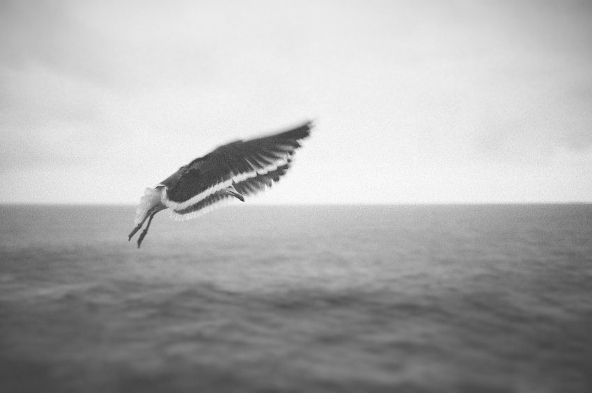 What It Means To Be A Real Free Spirit