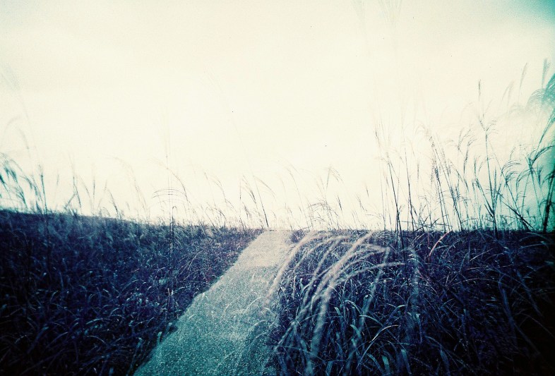 Flickr / tomo tang
