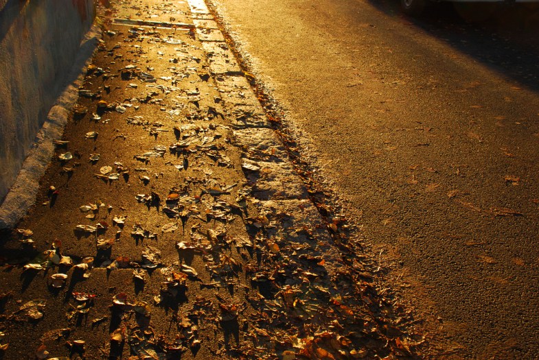 Flickr/Arild Storaas
