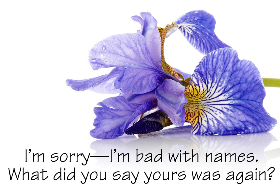 Shutterstock Elya Vatel