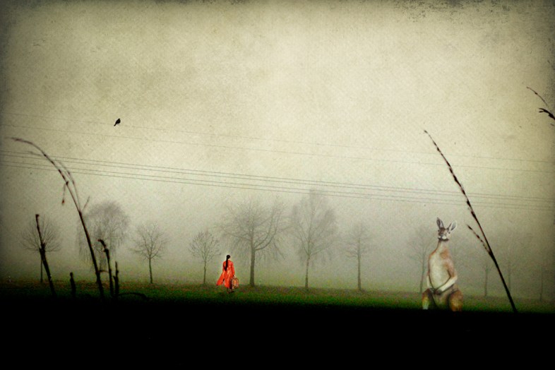Flickr / Alice Popkorn