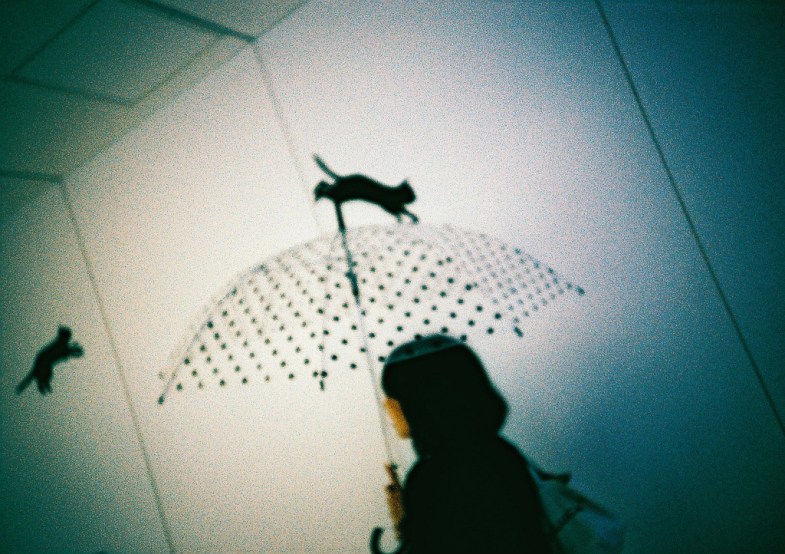 Flickr / tomo tang