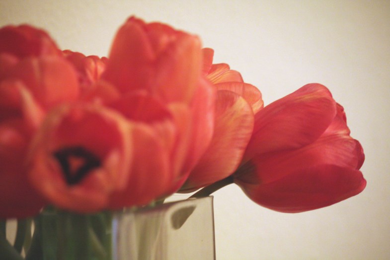Flickr / Chiara Cremaschi