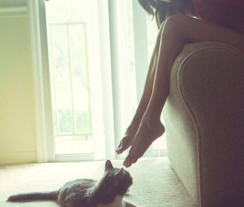 image - pinkcotton