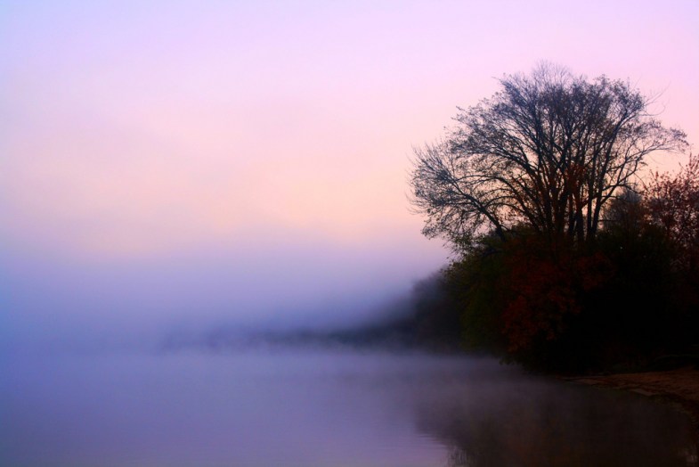 Flickr/Indy Kethdy
