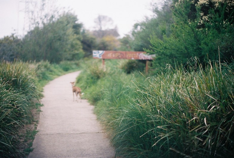 Flickr/Jacinta Moore