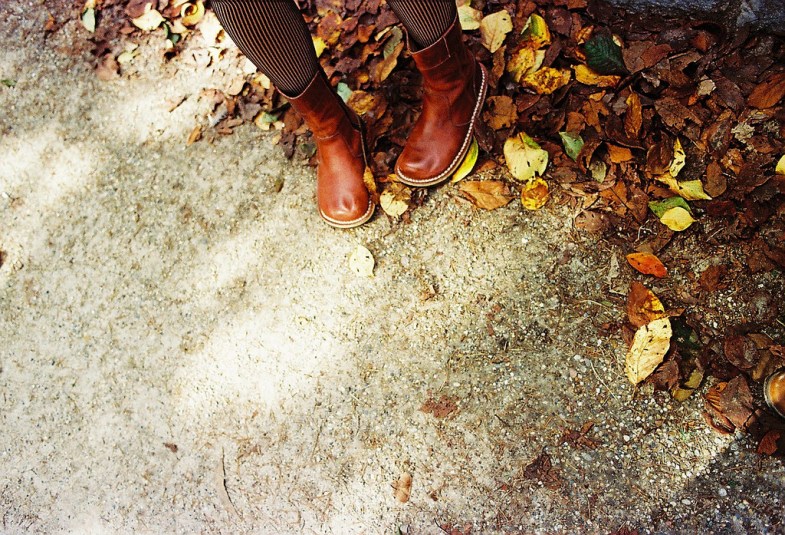 Flickr / tomo tang