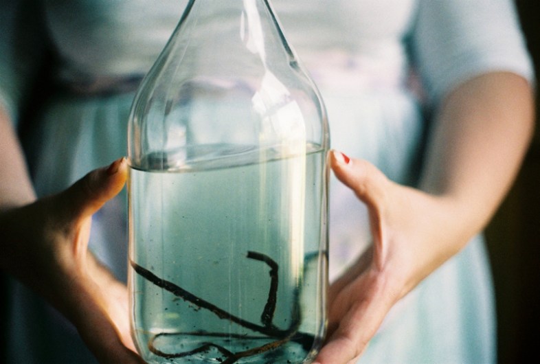 Flickr / Jacinta Moore