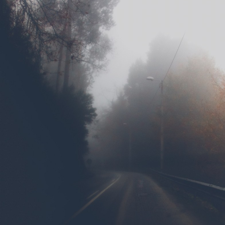 Flickr / Tiago Pereira