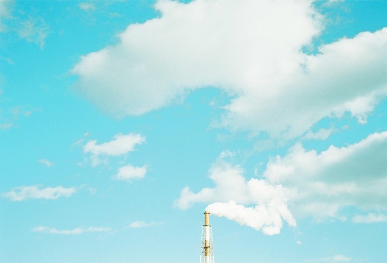 Flickr / tomo tang