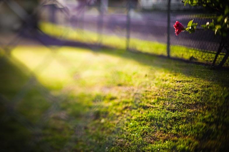 Flickr/Aftab Uzzaman