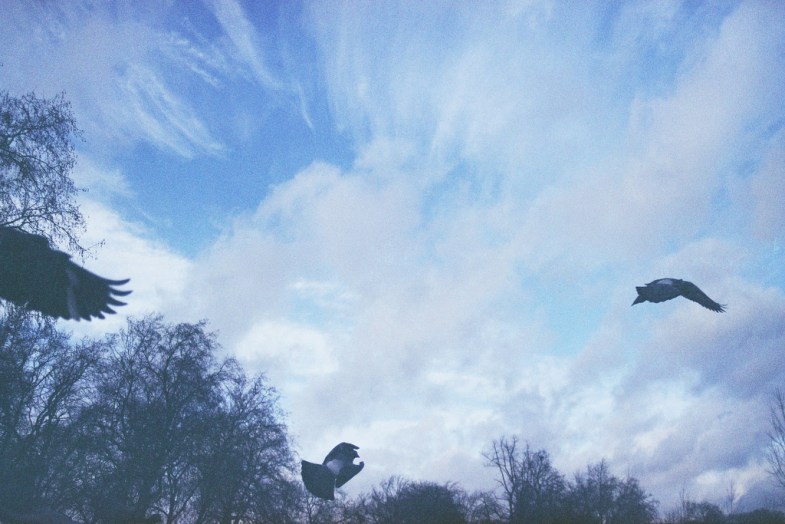 Flickr / super awesome