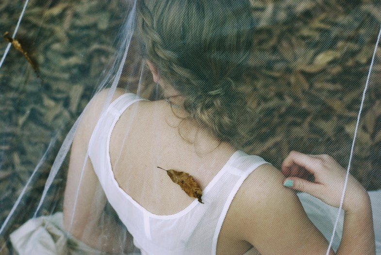 Flickr / >