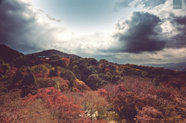 Flickr/ after the rain