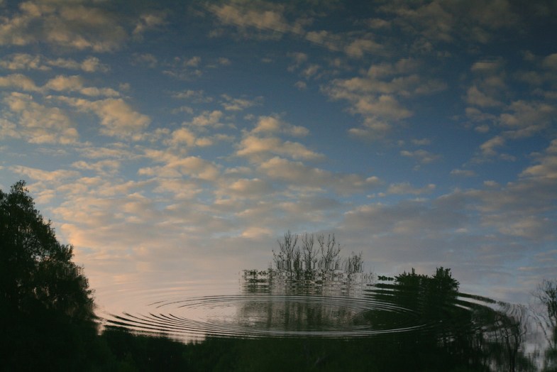 Flickr / LASZLO ILYES