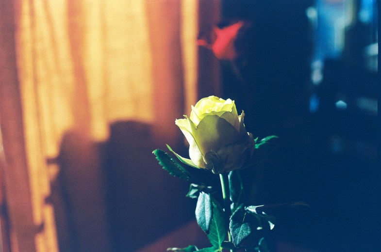 Flickr / Khánh Hmoong