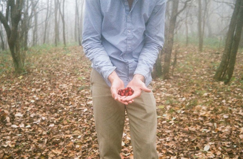 Flickr / Alicia Soltani