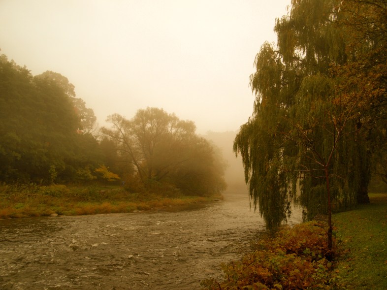 Flickr / Michael Gil