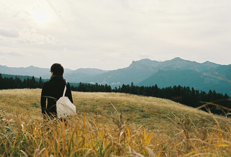 Flickr / tomo tang