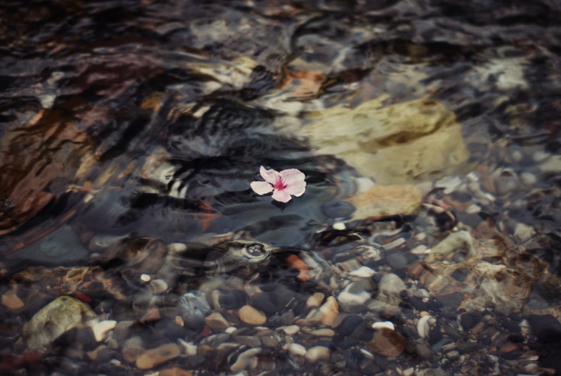 Flickr / Silvia Sala