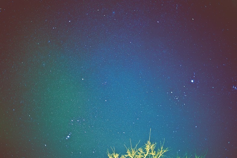 Flickr / 55Laney69