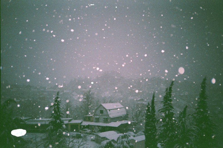Flickr / Lilit Matevosyan