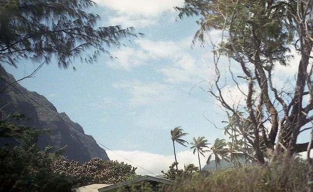 Flickr / Jacinta Moore