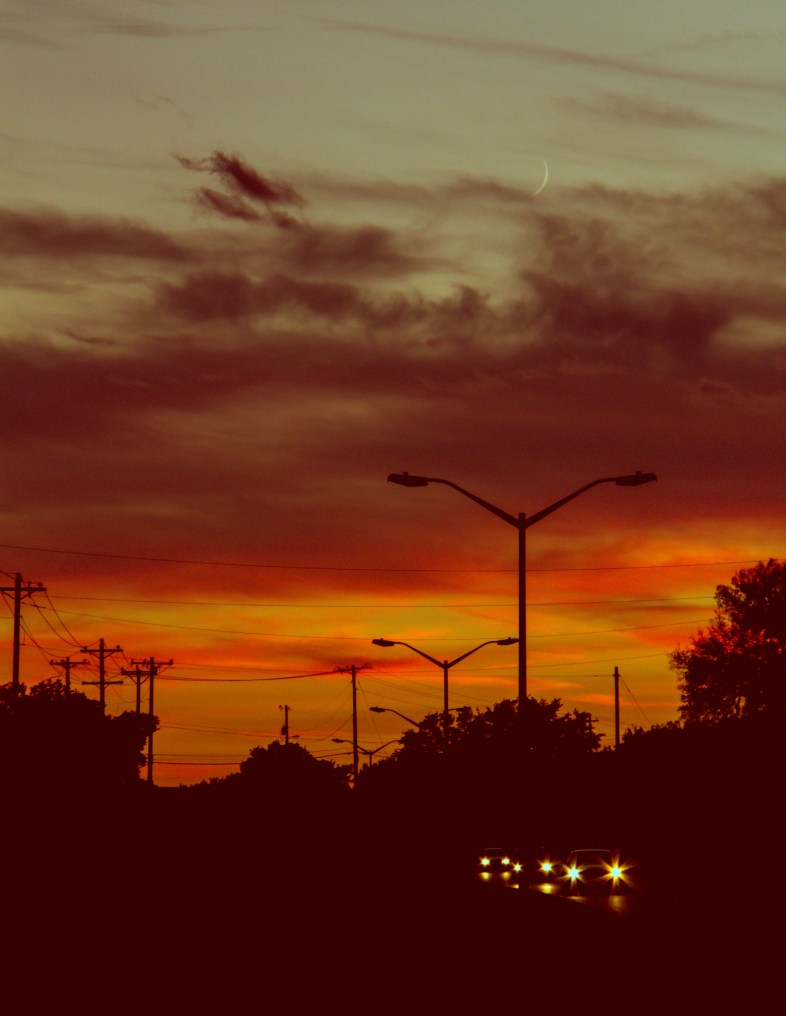 Flickr / Lotus Carroll