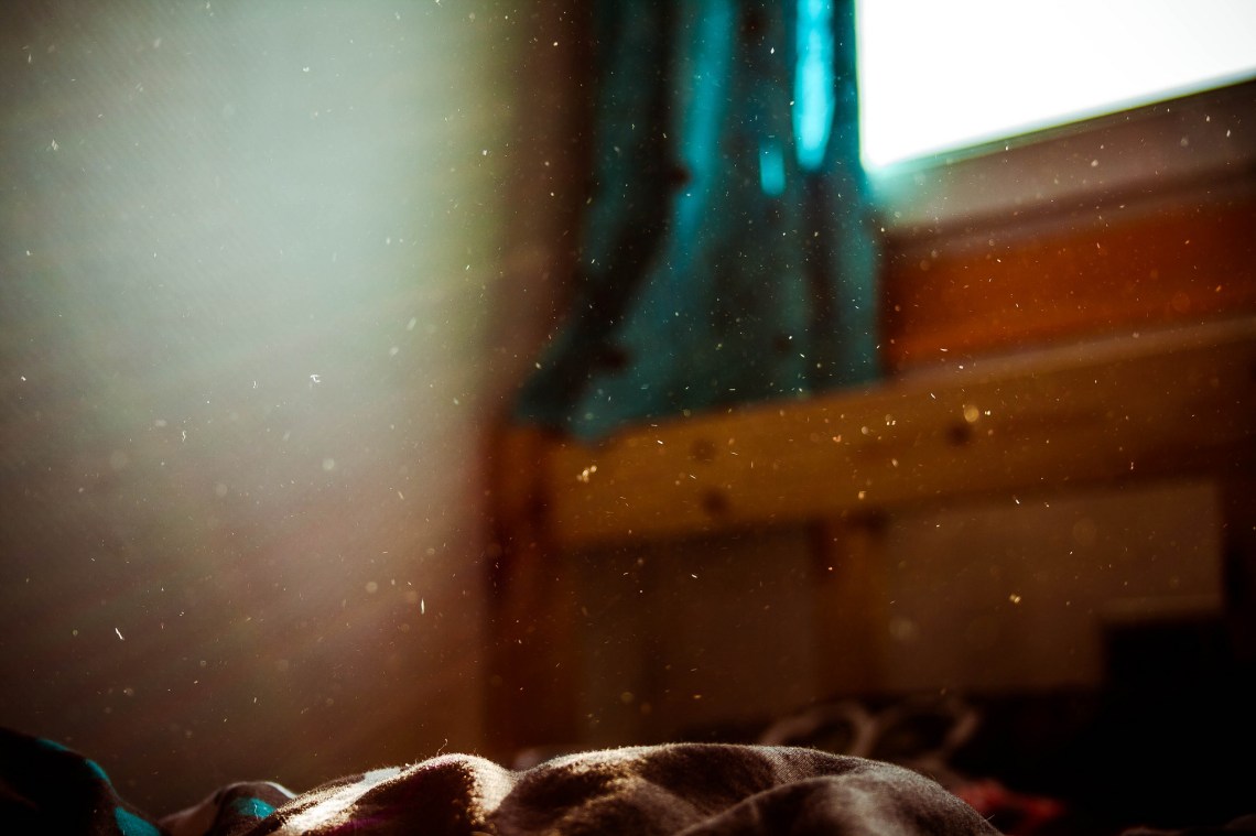 Flickr / Sarah Giboni