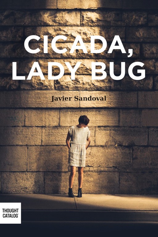 Cicada, Ladybug