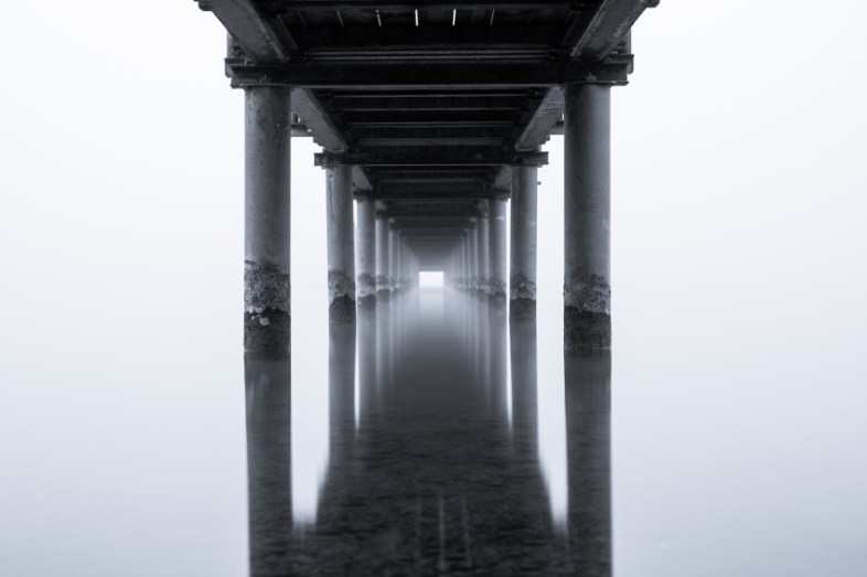 iStockphoto / Schneider-Photographie