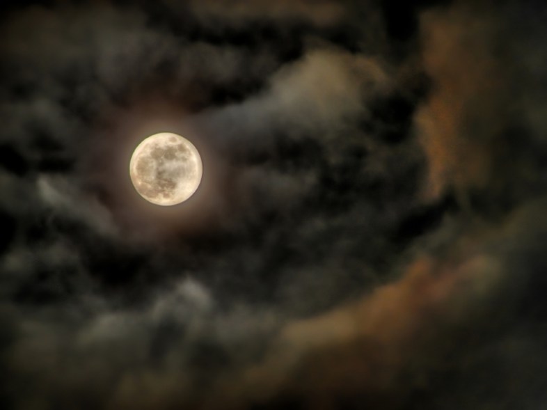 iStockphoto / imagospot