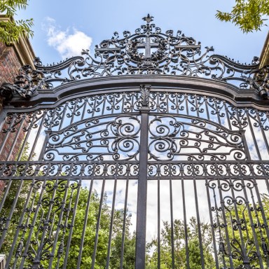 Harvard’s Dirty Little Secret: The Final Clubs
