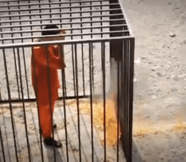 Fuck These People: Islamic State Burns Jordanian Prisoner Alive And Videotapes It