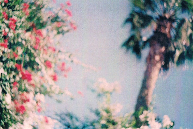 Flickr / loosingmind