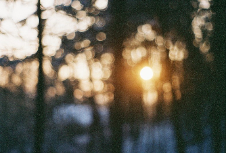 Flickr / Marketa