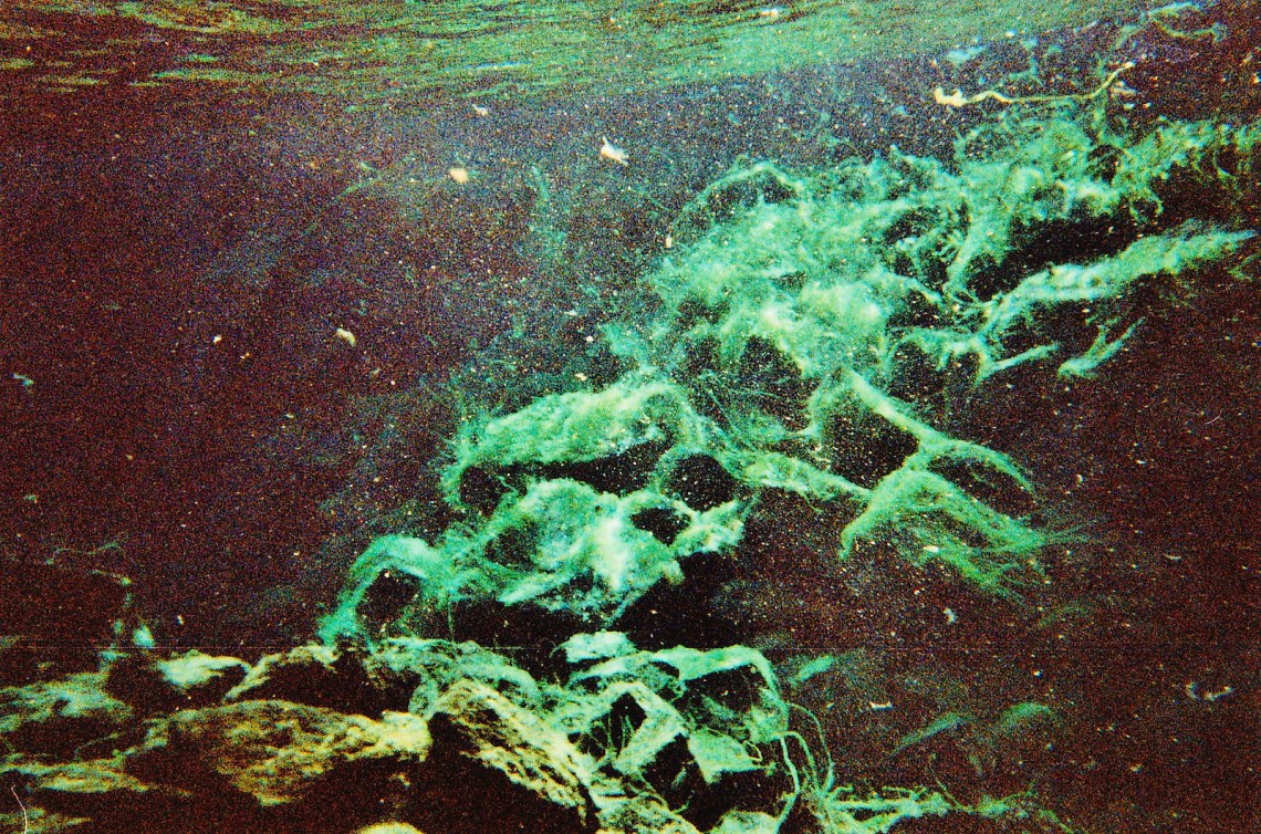 Flickr / Richard P J Lambert