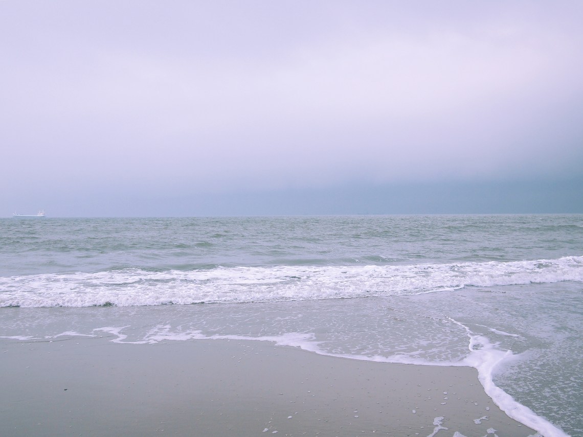 Flickr / Daria Nepriakhina