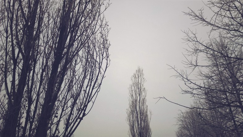 Flickr / Alexander Lyubavin