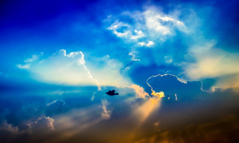 Flickr / Sunny