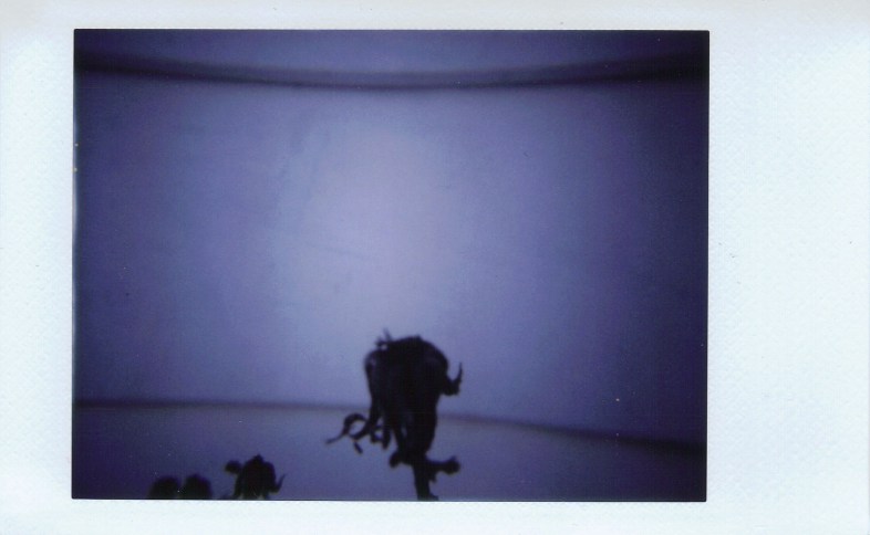 Flickr / Holly Lay
