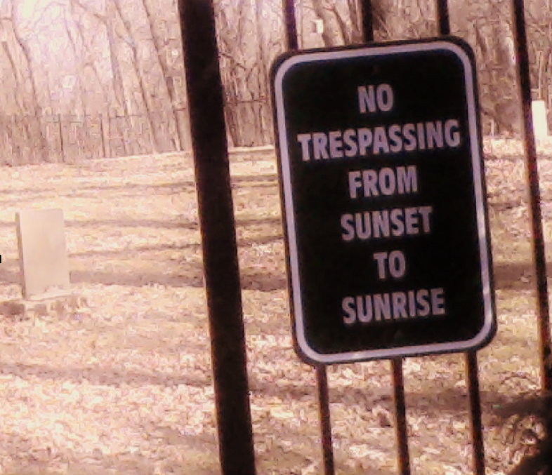 Image provided by Tara-Mae Wrona