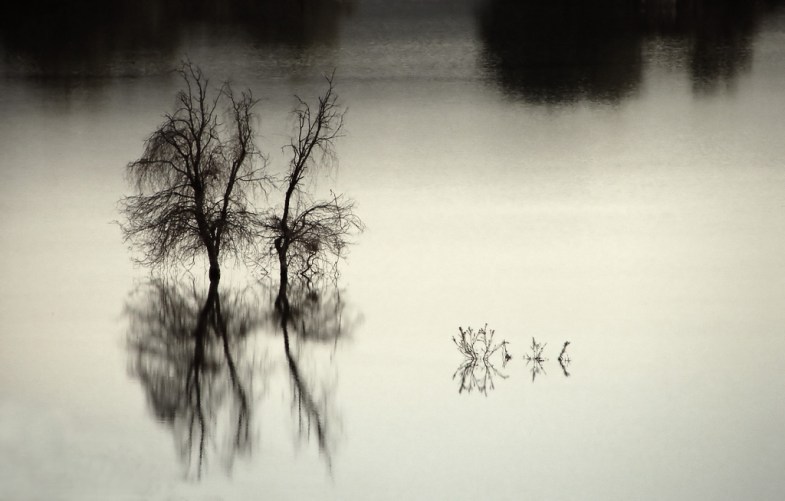 Flickr / Hamed Saber