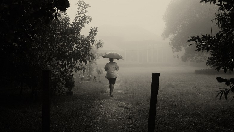 Flickr / Vinoth Chandar
